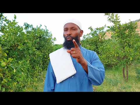Abdosh Aliyyi NUUKENNE QUR'AANAA)