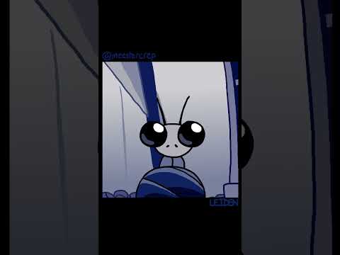 Out of Geo #hollowknight #animation #meme