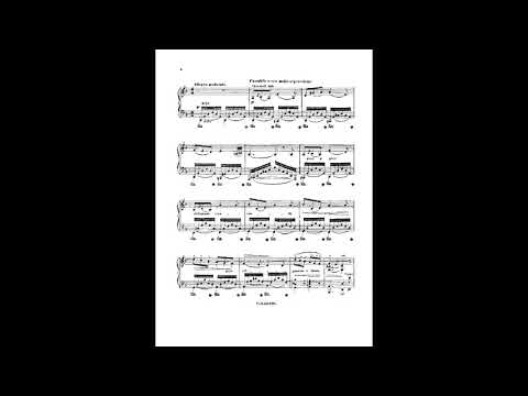 Johann Strauss II Romanze №1, Op 243
