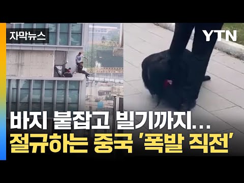 아이콘