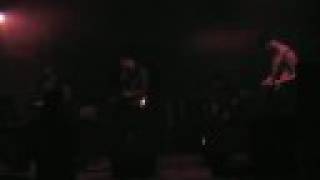 The Daysleepers - Lightforms