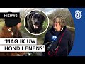 Bizar: op deze site kan je een hond lenen