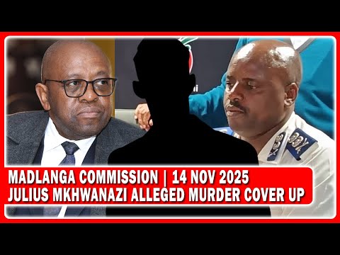 Witness D  End Evidence To Madlanga Commission Of Julius Mkhwanazi Alleged Murder Cover Up