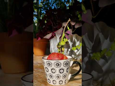 #Moldova #Italy #travel #winary #pets #Salsomaggiore