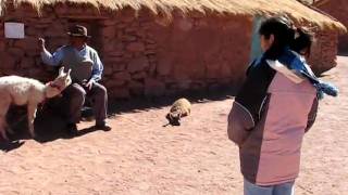 preview picture of video 'Viaggio in America Latina 2010 - San Pedro de Atacama - Pueblo Machuca'