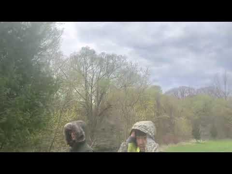 Brimley Scarborough Ontário Canadá.