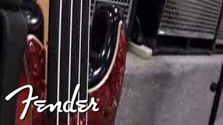 Tony Franklin- Fretless Bass | Fender