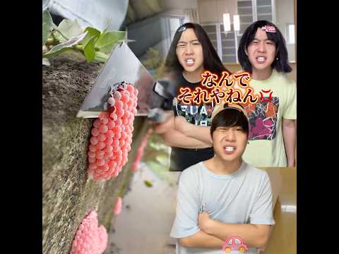 まじで平等に祝って欲しいよなwwwww#あるある #小学生 #おすすめ #お菓子