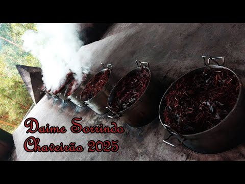 Céu de Maria - Daime Sorrindo e Chaveirão - 2025