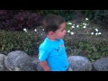 Sebastian At The Carmel Mission