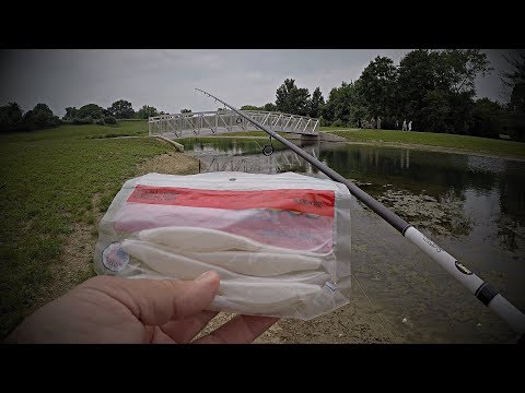 20 Minute Shoreline Bass Fishing Break on a New Pond!!! (Fluke Strikes Again)