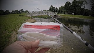 20 Minute Shoreline Bass Fishing Break on a New Pond!!! (Fluke Strikes Again)