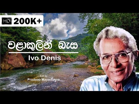 Wala kulin basa | Ivo Denis | Lyrics video song [HD]