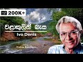 Wala Kulin Basa Ivo Denis Lyrics Video Song HD