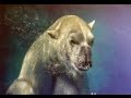 Animals 2015 Online Art Exhibition - Part 2 ...