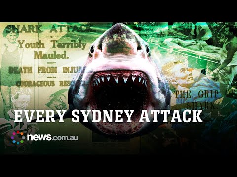 Every recorded shark attack in Sydney’s history