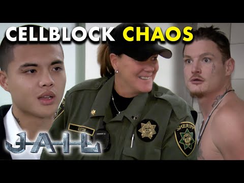 🚨 Cellblock Chaos: Altercations, Theft, Mugshot Antics | Jail TV Show