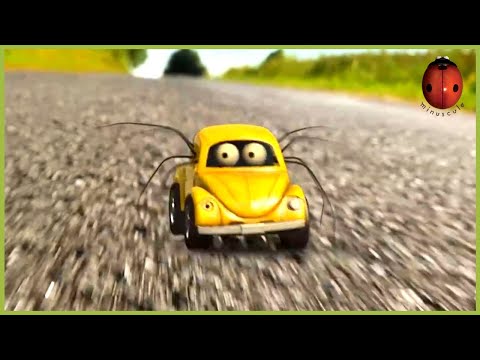 Mad fly | Minuscule 🍃 15' Compilation