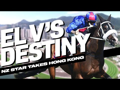 El Vencedor's Destiny | New Zealand's Star Horse Takes Hong Kong | 2025 FWD Champions Day