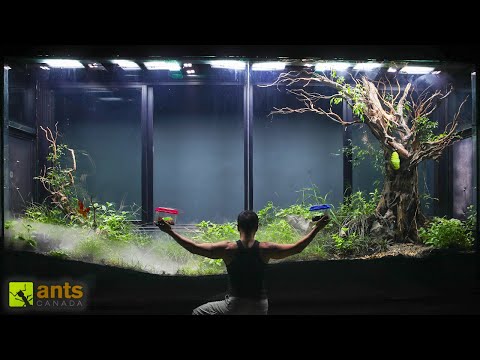 I Added Herbivores Into My Giant Grassland Vivarium