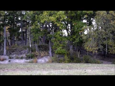 161004 recall with Mino and Nirma