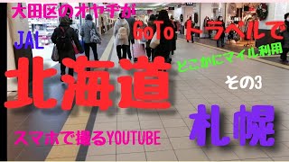 例の件でヤバイ北海道に、「GO TOトラベル」と「JALどこかにマイル利用で行ってみた。その3。