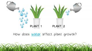 The Scientific Method Part 2: Variables and Hypothesis