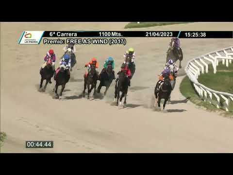 230421 c06 - PEQUIM (BRZ) - HIPODROMO LAS PIEDRAS