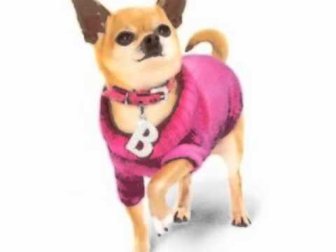 Legally Blonde Review on WHMI