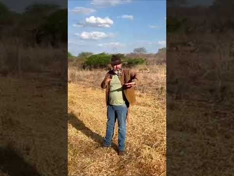 🌾 FAZENDA QUIXABA – APENAS 3 KM DE SERRA BRANCA E AÇUDE COM 8 HECTARES DE LÂMINA D’ÁGUA 🌾
