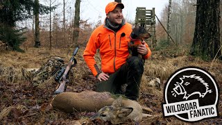 Drückjagd im Sachsenforst (Hunt On Demand Free Episode)