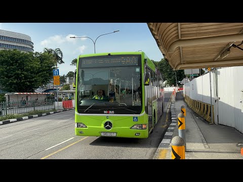 Tower Transit SG Mercedes-Benz OC500LE (Batch 2) SMB130T on Service 980