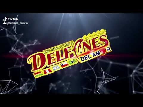 DANNY & DEYBIS CONDORI - TIK TOK SALAY DELFINES MIX ( OFICIAL 2020 TIK TOK )