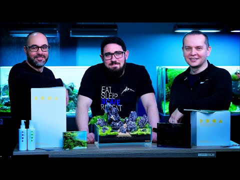We Built Three Mini Terrariums with the DOOA NEO GLASS AIR Floating Glass