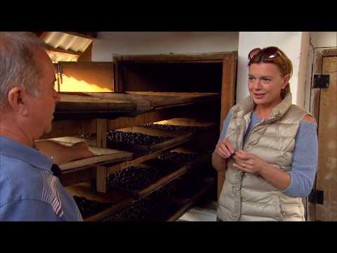 Gasztroangyal 27. rész – Tarpai szilva (2013)