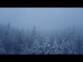 DJI Mini 2 Winter Flight