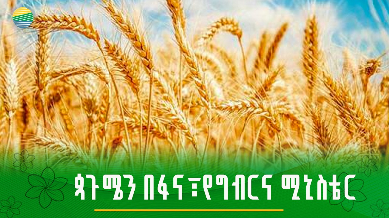 ጳጉሜን በፋና፣ የግብርና ሚኒስቴር    #በቀጥታ #ፋና