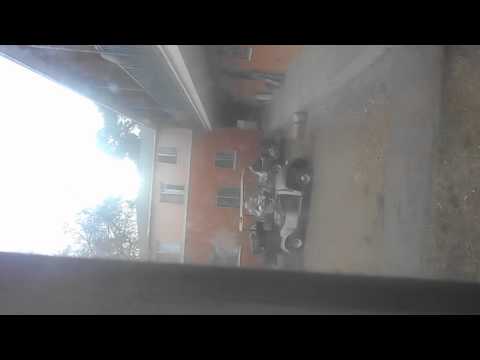 another scam (WYVERNWOOD PART 9)