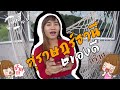 ของดี สุราษฎร์ธานี One Day Trip Flo Rida Whistle KhongDee KhongD