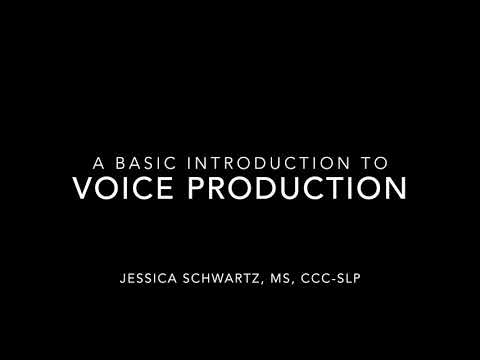 A Basic Introduction to Voice Production