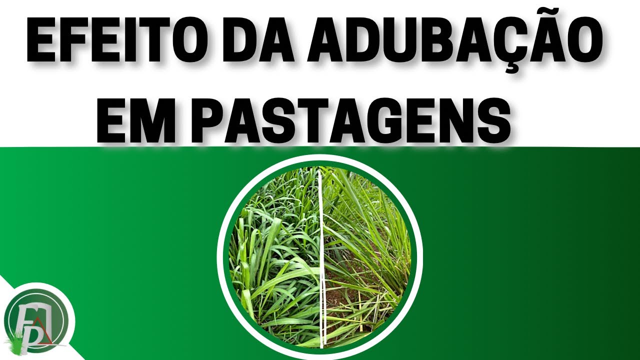 ADUBAÇÃO DE PASTAGENS