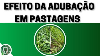 ADUBAÇÃO DE PASTAGENS
