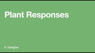 Plant Responses
