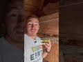 Know These 5 Things BEFORE You Start Raising Chickens