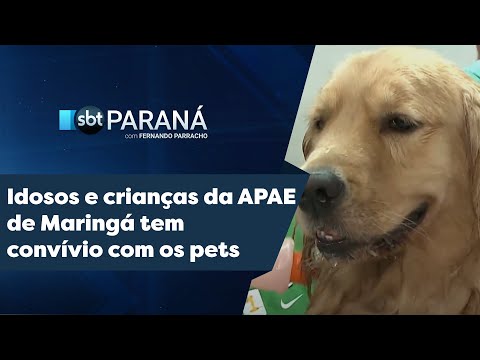 Idosos e crianças da APAE de Maringá tem convívio com os pets | SBT Paraná (01/05/2024)