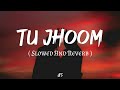 Tu Jhoom Slowed And Reverb Lofi Song World Famous Lyrics