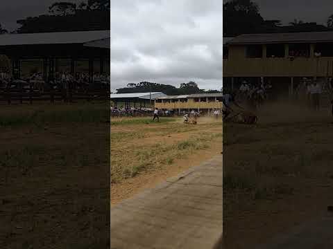 Pealo #painel #santacatarina #gaucho