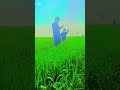 Kab Mene Ye Socha Tha Bollywood Song Bollywoodsongs Remix Music