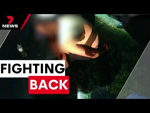 Suspected teen thief hit over head with shovel by homeowner | 7NEWS