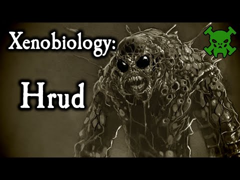The Hrud - "The Bendys" || Warhammer 40K Lore